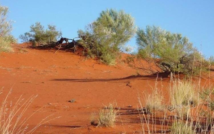 Raising awareness and access in the Gascoyne image